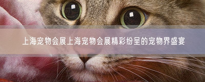 <strong>上海宠物会展上海宠物会展精彩纷呈的宠物界盛宴</strong>