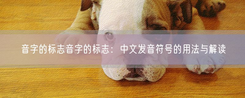 音字的标志音字的标志：中文发音符号的用法与解读