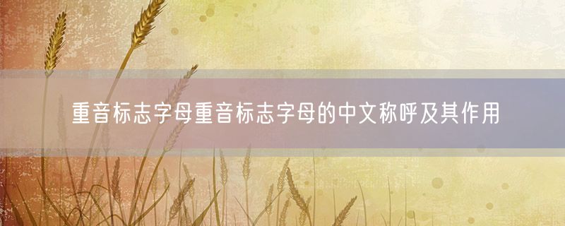 重音标志字母重音标志字母的中文称呼及其作用