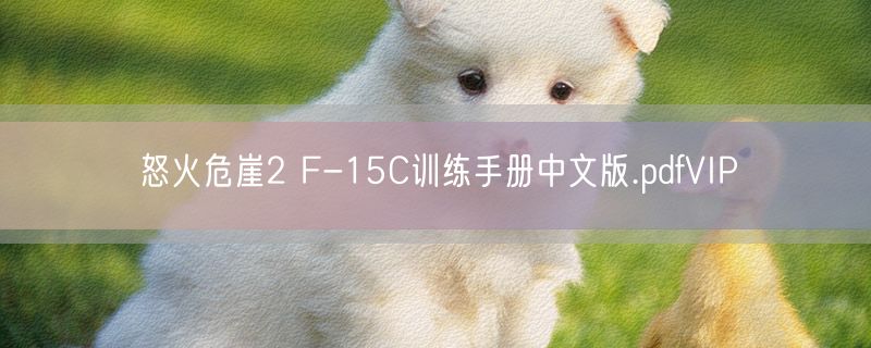 怒火危崖2 F-15C训练手册中文版.pdfVIP